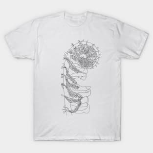 Fiddlehead Fern Illustration T-Shirt